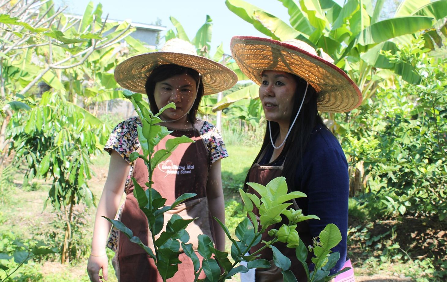 Love Chiang Mai Cooking School